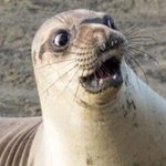 서가대는 <b>참석</b> 안하면 상안줌?