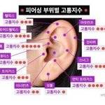 <b>꿀벌</b>교복