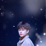 본진 얼굴 동네방네 자랑하고 싶다