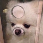 <b>남색</b> 후드집업 코디 질문!!! 급해급해