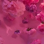 <b>미국</b> 사는 <b>사람</b> 있어???ㅠㅠ 급해서ㅜㅜ