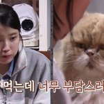 <b>여신님</b>이당
