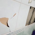 [꼭도움요청] 화장실 타일이 무너졌는데...