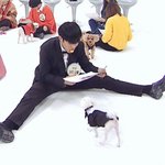[세븐틴] <b>해외</b>에서는 스펀지밥 참 좋아하는 것 같아