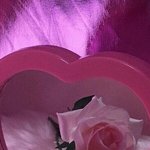 얘<b>등아</b> 지금 뭐해??