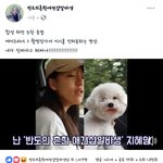 [댓글부탁해] 너네 반도의 흔한 <b>애견</b>샵 알바생 알아?