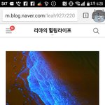 몰디브 대박이지않냐