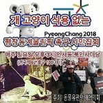 3차 개고양이 식용 없는 평창동계올림픽 촉구 <b>시민</b>집회에 참여해주세요