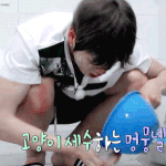 [강다니엘] 고양이 <b>세수</b>하는 멈무