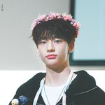 [스키즈] 황현진 토끼같아
