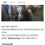 [꼭봐주세요] 인간의 <b>잔인</b>함이란