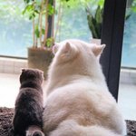 나 작년 반<b>배정</b> 개 잘됐음!