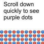 [드루와] 내가 신기한 거 보여줌 <b>드러</b>왕!