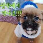 <b>입양</b>캠페인 및 나눔바자회