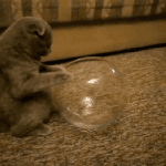 피어싱 <b>소독</b>