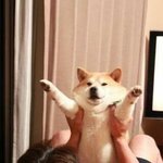 너흰 <b>성별</b>로 차별받아본적 있어?