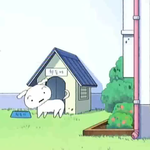 강아지가 <b>사료</b>를 안먹는데 어떻게 해 ?