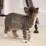 [댓글부탁해] <b>sns</b> 하나도 안 하는 사람 들어와봥