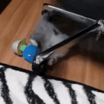 [뉴이스트] <b>럭키</b>