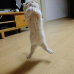 얘들아 <b>유심</b>칩옮기면