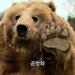 [댓글부탁해] 19)키스할때ㅐ