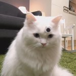 [드루와] 9시에 교회가는데 잠이 안 온다