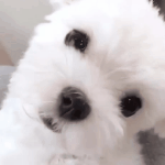 나 화장좀 도와줘...ㅜㅜ