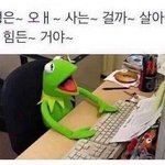 [드루와] <b>애정</b>표현 받을수록 더 정떨어지는 애들 있냐