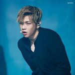 [강다니엘] 얘더라 우리 다녤 사진 파뤼하자