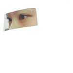 [댓글부탁해] <b>콧대</b> 높은거야 낮은거야?