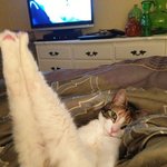 내 섹시한 <b>OO</b>볼래?