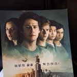 메이즈<b>러너</b> 이번편 나만 ㅂㄹ?