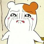 ㅅㅂ <b>bl</b>때문에 현망진창