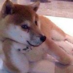 [드루와] 진짜 죽고싶었을때 언제였어?