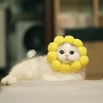 <b>남친</b> <b>생일</b>선물