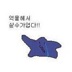 [조언부탁해] 우리 단톡 왜 그럴까 ㄹㅇ