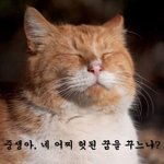 나 진짜 바본가봐ㅠㅠㅠ시험날짜 <b>착각</b>함ㅠㅠ