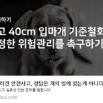 [서명요청] 정답은 입마개가 아닙니다