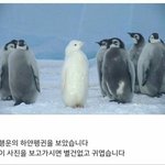 톡선 <b>미제</b>사건 많이무서움????