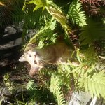 나비 <b>제눈</b>에만 이쁜가요?