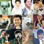 [댓글부탁해] 얘들아 우리 이 옷 가지고 있다 없다로 <b>추반</b>하자 !