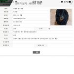 [댓글부탁해] 화명동 강아지 <b>실종</b> 제발 한번만 봐주세요