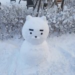 [댓글부탁해] 나 살빼는데 너무 배고파서 <b>야식</b>으로