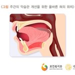 [드루와] 너네 혀 어디에 <b>위치</b>해있음??