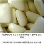 <b>소올</b>찍히