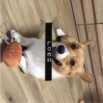 몽룡 <b>기여</b>움