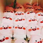 [드루와] 화장품 추반 좀 해주랑
