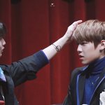 [박우진] 쓰담쓰담 •_•