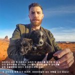 <b>사막</b> 한가운데 버려진 개와 떠난 여행