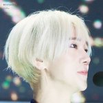 [댓글부탁해] 스엠 일 너무안해ㅜㅜ